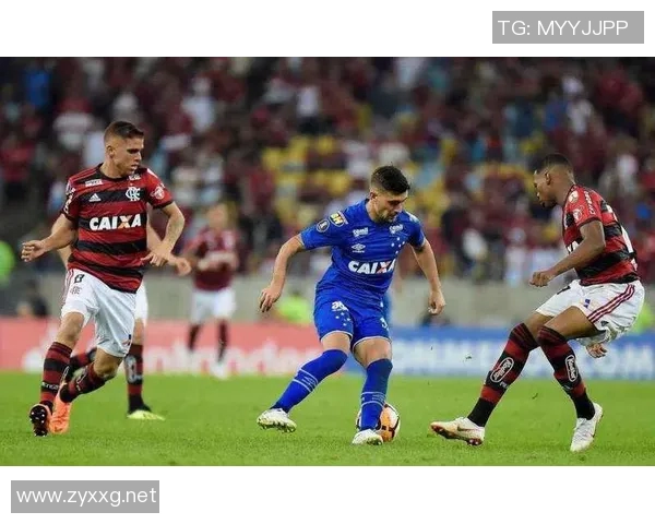 巴西杯激战巴拉纳对决费拉巴精彩赛事回顾与分析