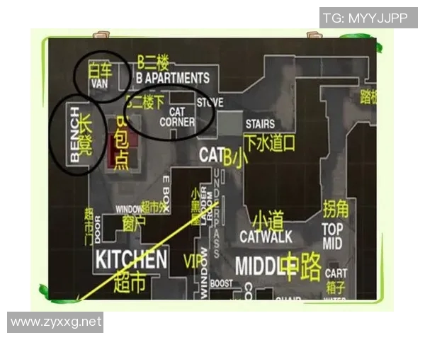 CSGO新手必看配合技巧与战术入门全攻略