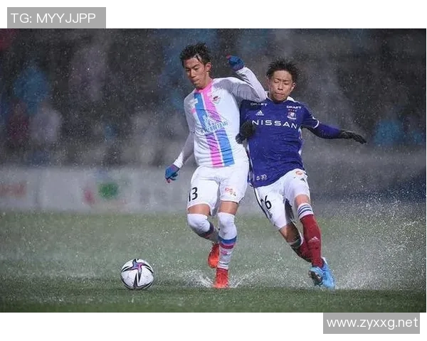 深圳羽毛球队控制革新探索：提升竞技水平与团队协作的新路径