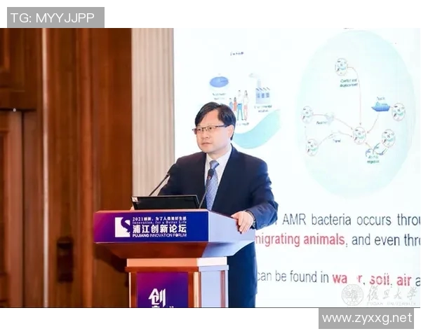 武汉篮球队的崛起与发展探索聚焦篮球力量的背后故事与未来展望